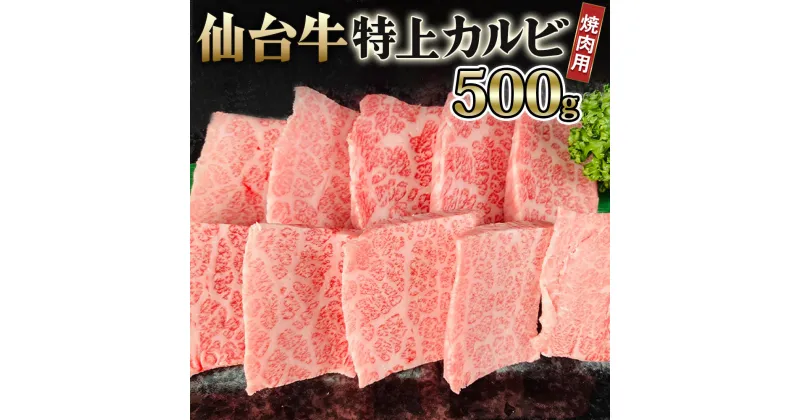 【ふるさと納税】仙台牛 特上カルビ 焼肉用 500g｜宮城 大郷町産 牛肉 A5 和牛 ブランド牛 バーベキュー 極上 [0039]