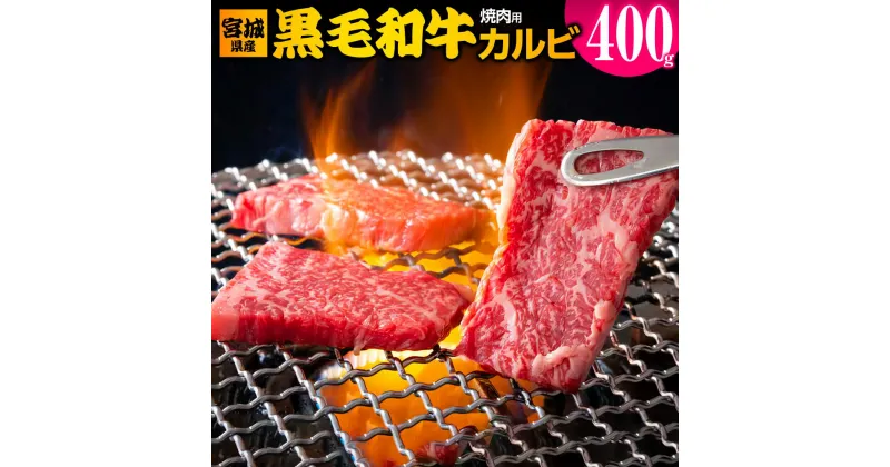 【ふるさと納税】宮城県産 黒毛和牛カルビ焼肉用 約400g｜国産 牛肉 バーベキュー [0049]