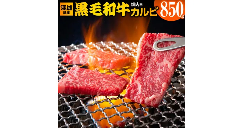 【ふるさと納税】宮城県産 黒毛和牛カルビ焼肉用 850g｜国産 牛肉 バーベキュー [0050]