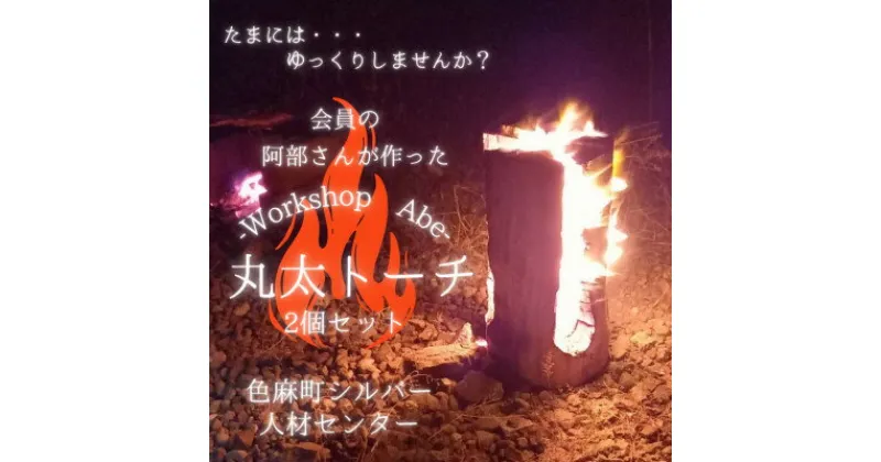 【ふるさと納税】【キャンプ・アウトドアにおすすめ】色麻町産スギ材 丸太トーチ(2本セット)【配送不可地域：離島・沖縄県】【1346231】