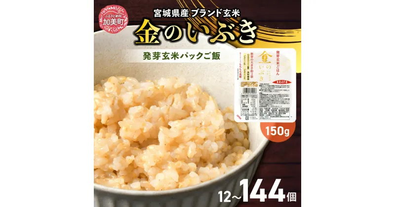 【ふるさと納税】パックごはん 150g 選べる定期便 米 玄米 パックご飯 発芽玄米 選べる定期便 回数 (1回 / 3回 / 6回 / 毎月 / 隔月) 金のいぶき パックごはん 宮城県産 宮城 ブランド玄米 宮城県 加美町 パックライス キャンプ 非常食 備蓄 電子レンジ 無菌パック