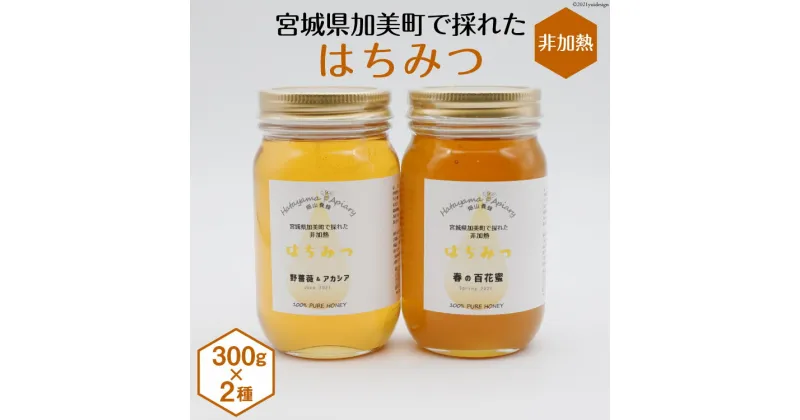 【ふるさと納税】＜季節の花とミツバチからの贈り物＞非加熱はちみつ300g×2種セット《数量限定》＜畑山養蜂＞【宮城県加美町】