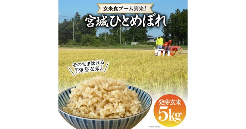 【ふるさと納税】簡単に炊ける 宮城県産 ひとめぼれ 発芽玄米5kg / 菅原商店 / 宮城県 加美町