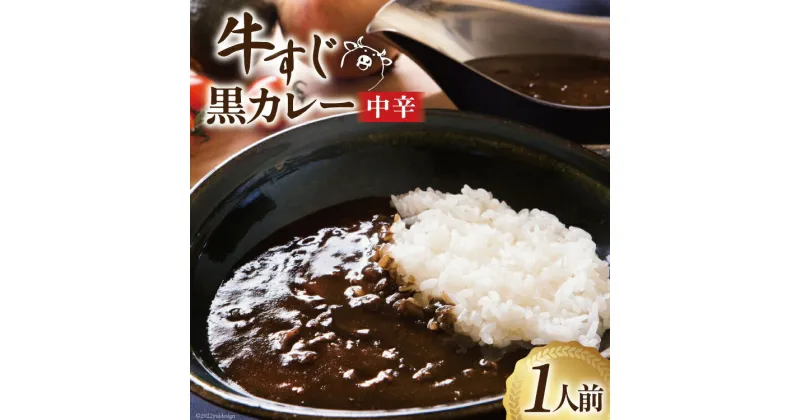 【ふるさと納税】カレー 宮城 牛すじ 黒カレー 1人前(200g) [やくらいフーズ 宮城県 加美町 44581326] 牛すじカレー ブラックカレー レトルト 簡単