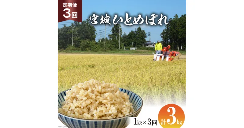 【ふるさと納税】定期便 3ヶ月 簡単に炊ける 宮城県産 ひとめぼれ 発芽玄米 計3kg(1kg×3回) [菅原商店 宮城県 加美町 44581381] お米 米 玄米 発芽玄米