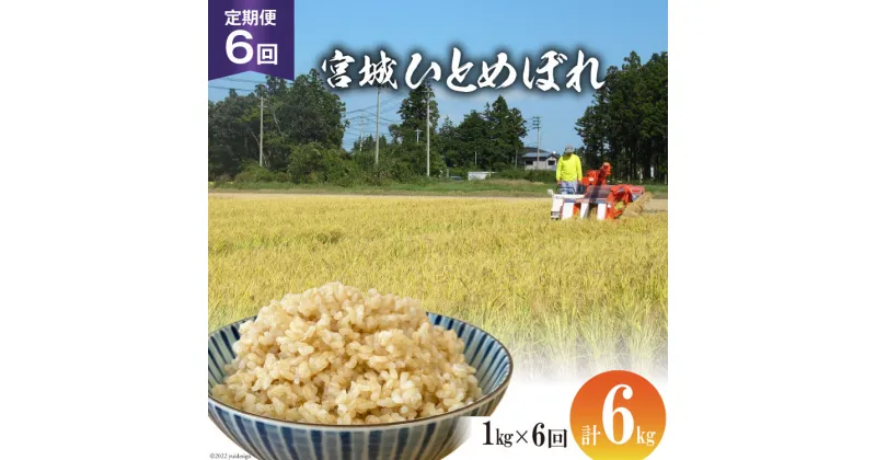 【ふるさと納税】定期便 6ヶ月 簡単に炊ける 宮城県産 ひとめぼれ 発芽玄米 計6kg(1kg×6回) [菅原商店 宮城県 加美町 44581382] お米 米 玄米