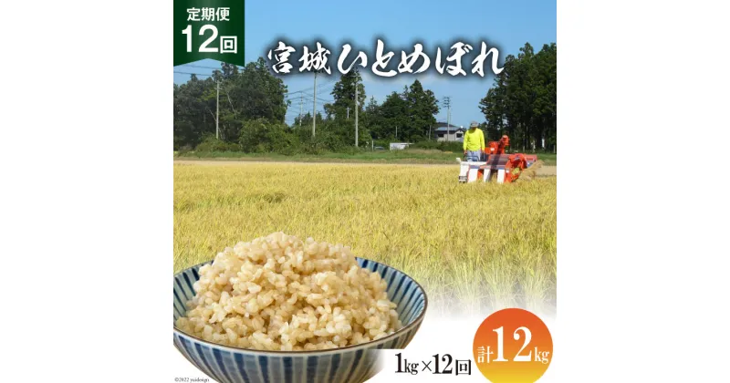 【ふるさと納税】定期便 12ヶ月 簡単に炊ける 宮城県産 ひとめぼれ 発芽玄米 計12kg(1kg×12回) [菅原商店 宮城県 加美町 44581383] お米 米 玄米