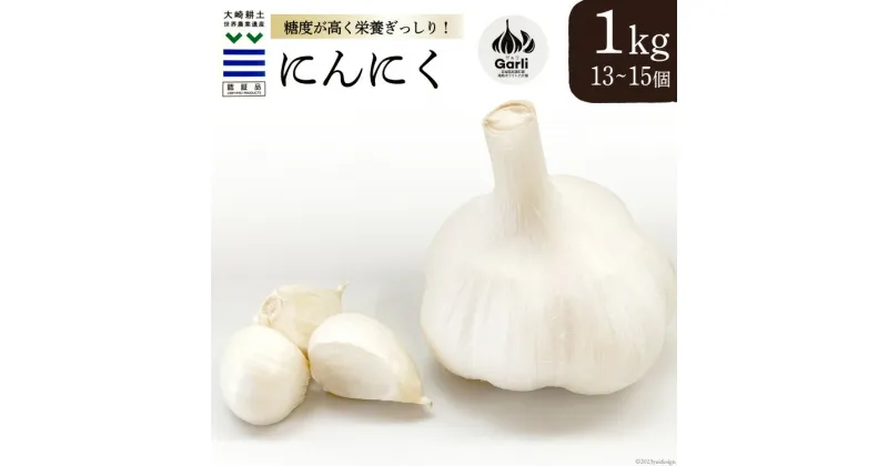 【ふるさと納税】にんにく ( ホワイト 六片) 1kg (13〜15個) [グラスト 宮城県 加美町 44581493] 国産 ニンニク ガーリック 福地ホワイト 野菜 根菜 薬味 大粒 期間限定