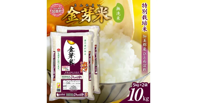 【ふるさと納税】無洗米 金芽米 米 令和6年 宮城県 加美産 ひとめぼれ 特別栽培米 10kg ( 5kg × 2袋 ) [ 宮城県 加美町 km00010-r6-10kg ] お米 こめ コメ 精米 白米 玄米 きんめまい おすすめ 新米 ナカリ タカラ米穀 パワーライス カメイ 新生活応援 美味しい