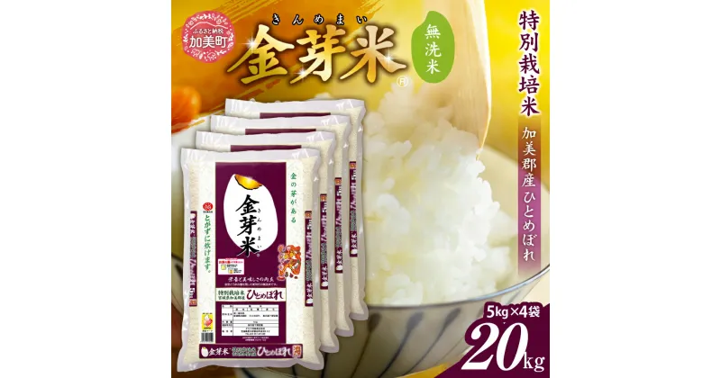 【ふるさと納税】金芽米 米 無洗米 令和6年 宮城県 加美産 ひとめぼれ 特別栽培米 20kg ( 5kg × 4袋 ) [ 宮城県 加美町 km00010-r6-20kg ] お米 こめ コメ 精米 白米 玄米 きんめまい おすすめ 新米 ナカリ タカラ米穀 パワーライス カメイ 新生活応援 美味しい