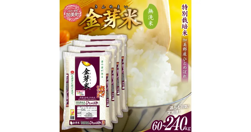 【ふるさと納税】金芽米 米 無洗米 令和6年 宮城県 加美産 ひとめぼれ 特別栽培米 20kg ( 5kg × 4袋 ) 3ヶ月 6ヶ月 12ヶ月 定期便 [ 宮城県 加美町 km00010-r6-20kg-te ] 米 お米 こめ コメ 精米 白米 玄米 きんめまい ヒトメボレ ロウカット