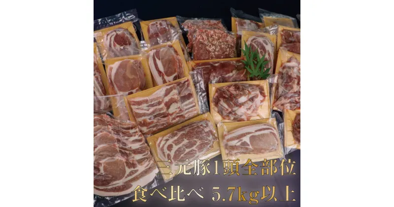 【ふるさと納税】涌谷町産三元豚1頭全部位食べ比べセット 5.7kg以上　【お肉・ロース・ヒレ・豚肉・バラ・スライス・食べ比べ・セット】