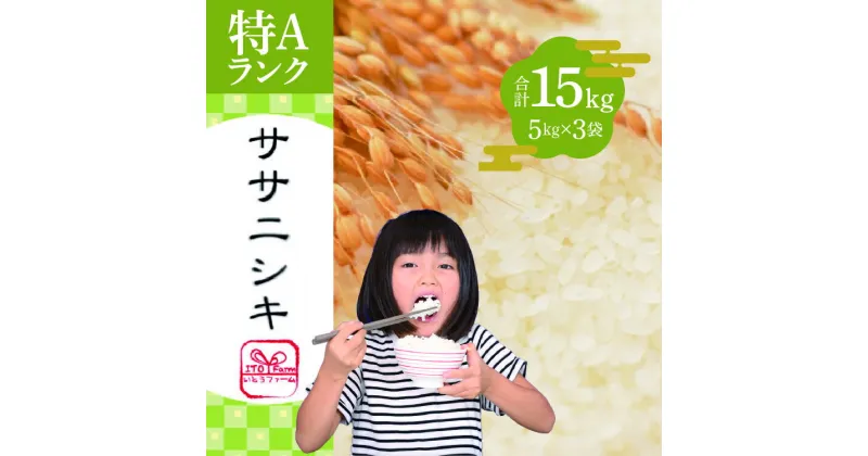 【ふるさと納税】いとうファームの令和6年産「ササニシキ」15kg（5kg×3袋） | お米 精米 白米 ブランド米 銘柄米 ご飯 おにぎり お弁当 和食 産地直送 ※2024年10月下旬より順次発送予定