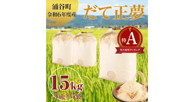 【ふるさと納税】(株)シブヤ 令和6年度産だて正夢5kg×3袋(計15kg)