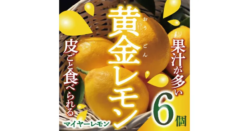 【ふるさと納税】皮まで美味しい黄金レモン6個セット　※2025年1月上旬～2025年2月下旬頃に順次発送予定