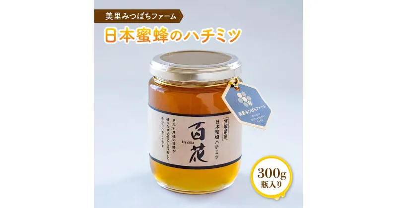 【ふるさと納税】日本蜜蜂のハチミツ（300g） | 国産 宮城県産 ハチミツ ハニー 瓶入り 日本ミツバチ 二ホンミツバチ 非加熱 ギフト プレゼント 贈答用 家庭用 パン デザート ジャム 料理 濃厚 返礼品 手土産 宮城県 美里町