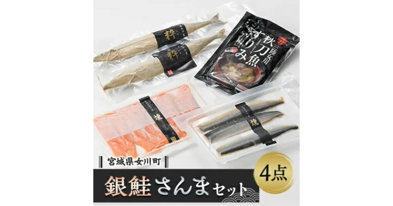 【ふるさと納税】E.女川産養殖銀鮭とさんま加工品セット【配送不可地域：離島】【1306587】