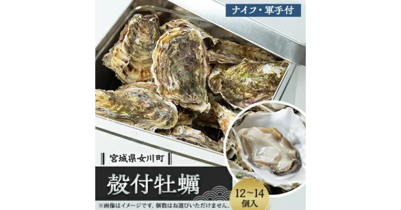 【ふるさと納税】潮香焼セット(殻付き牡蠣・カンカン焼き)ナイフ・軍手入り【配送不可地域：離島・沖縄県・九州】【1312854】