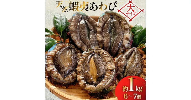 【ふるさと納税】アワビ 鮑 天然蝦夷あわびパック [たみこの海パック 宮城県 南三陸町 30ae0026] 冷凍 セット 高級 豪華 海鮮 天然 パック