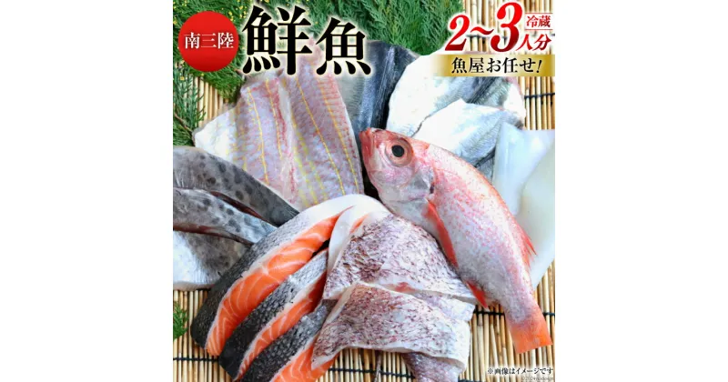 【ふるさと納税】鮮魚 詰め合わせ 魚屋お任せ！南三陸お楽しみ鮮魚 セット 2～3人分 [さかなのみうら 宮城県 南三陸町 30aj0001] 魚 タコ 牡蠣 ほや ホタテ 塩辛 佃煮 切り身