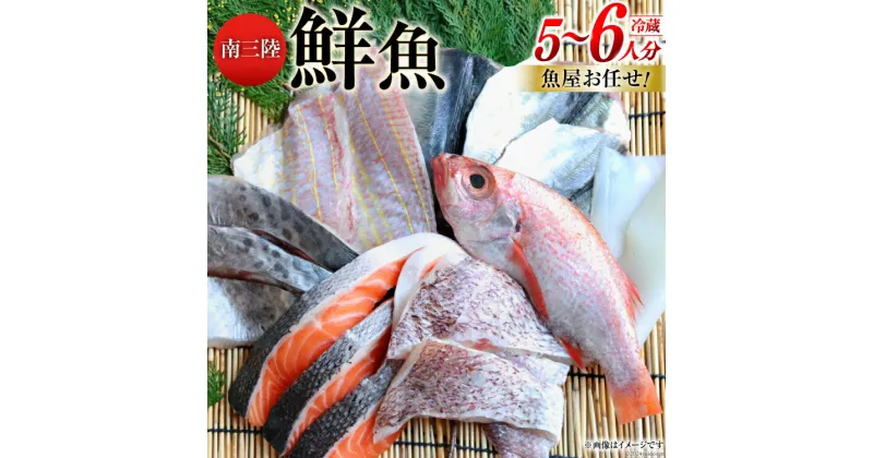 【ふるさと納税】鮮魚 詰め合わせ 魚屋お任せ！南三陸お楽しみ鮮魚 セット 5～6人分 [さかなのみうら 宮城県 南三陸町 30aj0002] 魚 タコ 牡蠣 ほや ホタテ 塩辛 佃煮 切り身