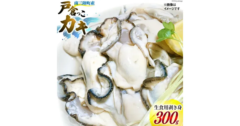 【ふるさと納税】【期間限定発送】牡蠣 生食 南三陸町産 戸倉っこカキ 300g [宮城県漁業協同組合志津川支所 宮城県 南三陸町 30an0001] 生カキ 生食用 剥き身 かき カキ 生ガキ むき身 むき