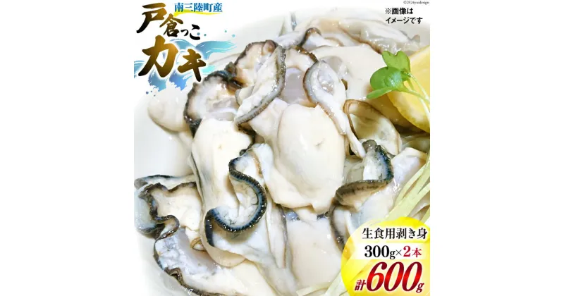 【ふるさと納税】【期間限定発送】牡蠣 生食 南三陸町産 戸倉っこカキ 300g×2本 計600g [宮城県漁業協同組合志津川支所 宮城県 南三陸町 30an0002] 生カキ 生食用 剥き身 かき カキ 生ガキ むき身 むき