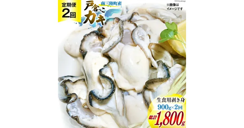 【ふるさと納税】【期間限定発送】2回 定期便 牡蠣 生食 南三陸町産 戸倉っこカキ 300g×3本 計900g [宮城県漁業協同組合志津川支所 宮城県 南三陸町 30an0004] 生カキ 生食用 剥き身 かき カキ 生ガキ むき身 むき