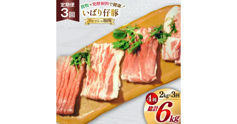 【ふるさと納税】3回 定期便 豚肉 ぶた肉 いばり仔豚 ロース バラ もも カタスライス 各500g 計2kg×3回 [エル・コルティッホ・ソーナイ 宮城県 南三陸町 30am0006] ぶたにく 国産 スライス 厚切り 詰め合わせ 食べ比べ セット