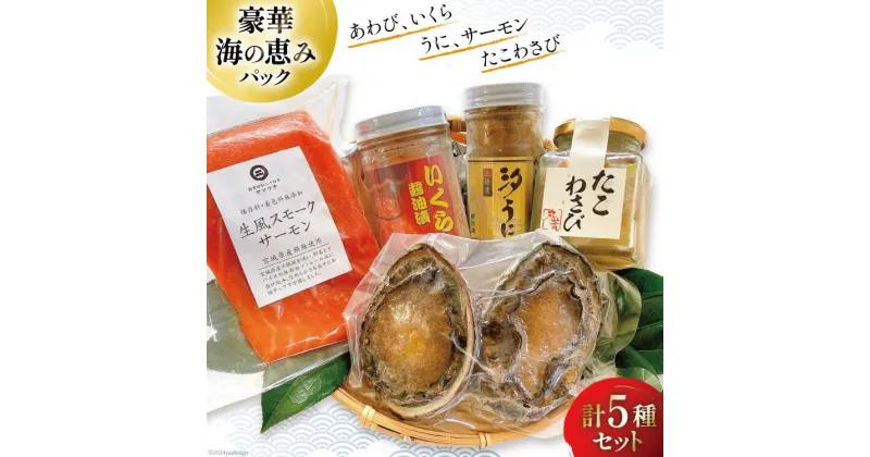 【ふるさと納税】海鮮 詰め合わせ 豪華・海の恵みパック 5種×各1パック [たみこの海パック 宮城県 南三陸町 30ae0024] 冷凍 アワビ 鮑 イクラ ウニ 雲丹 高級 希少 海鮮 魚介類 パック