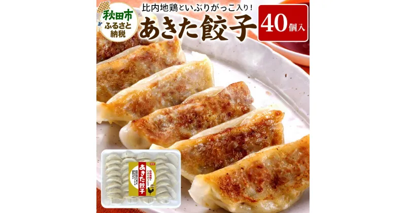 【ふるさと納税】餃子 あきた餃子(40個) 比内地鶏 いぶりがっこ 入り 無限堂 惣菜 冷凍