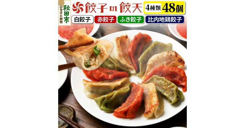 【ふるさと納税】餃天の4種餃子 48個詰合せ 餃子の餃天 (白餃子 赤餃子 ふき餃子 比内地鶏餃子) 化学調味料無添加