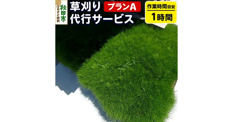 【ふるさと納税】草刈代行サービス プランA(作業目安：1時間) リモートで楽々メンテナンス！【秋田県秋田市】