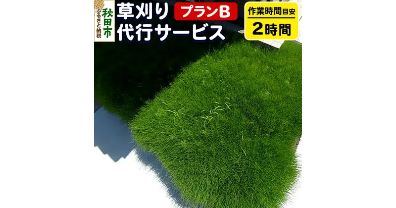 【ふるさと納税】草刈代行サービス プランB(作業目安：2時間) リモートで楽々メンテナンス！【秋田県秋田市】