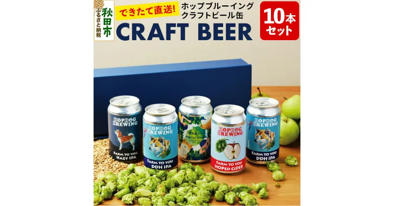 【ふるさと納税】【できたて直送！】クラフトビール缶 10本セット(5本セット×2箱)【ホップドッグブルーイング】