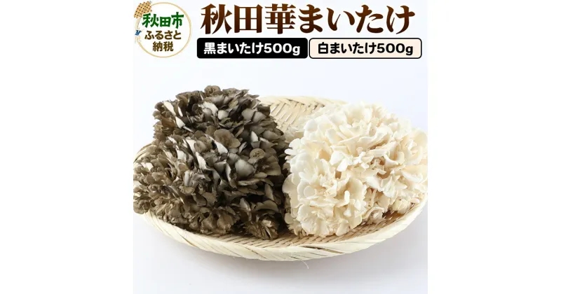 【ふるさと納税】秋田華まいたけ 生まいたけセット 黒まいたけ 約500g 白まいたけ 約500g 舞茸