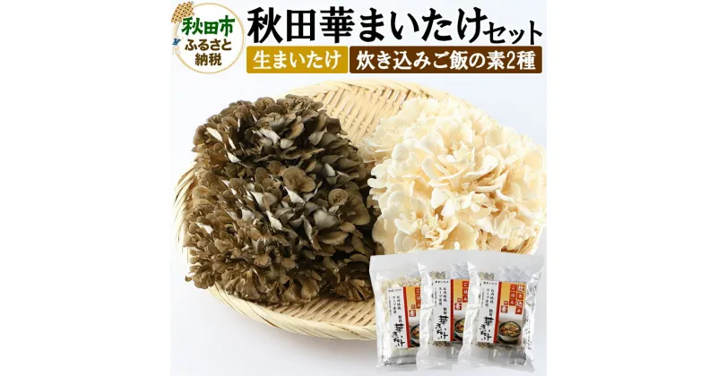 【ふるさと納税】秋田華まいたけ 生まいたけと加工セット 黒まいたけ 約500g 白まいたけ 約500g 炊き込みご飯の素 黒×2パック 炊き込みご飯の素 白×1パック 舞茸