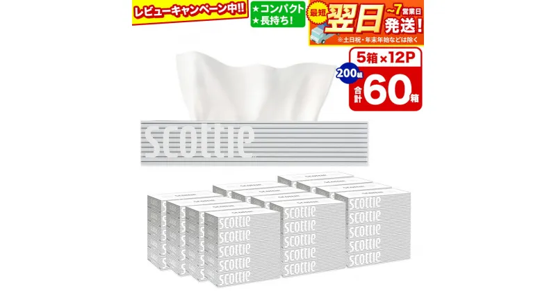 【ふるさと納税】ティッシュペーパー スコッティ 200組 60箱(5箱×12パック) ティッシュ 日用品 最短翌日発送【レビューキャンペーン中】