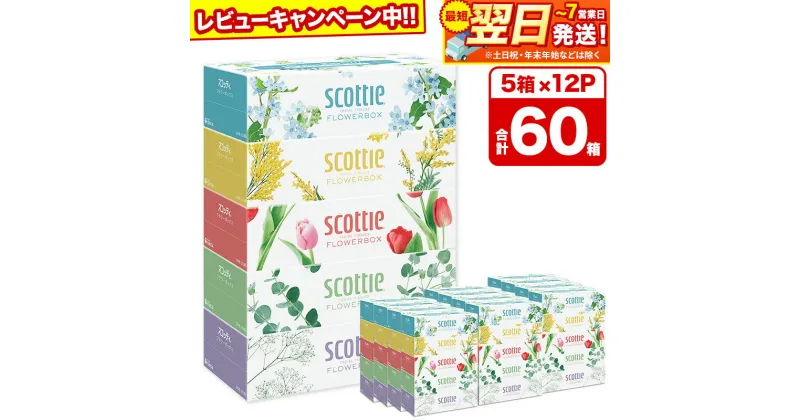 【ふるさと納税】ティッシュペーパー スコッティ フラワーボックス250組 60箱(5箱×12パック) ティッシュ 日用品 最短翌日発送【レビューキャンペーン中】