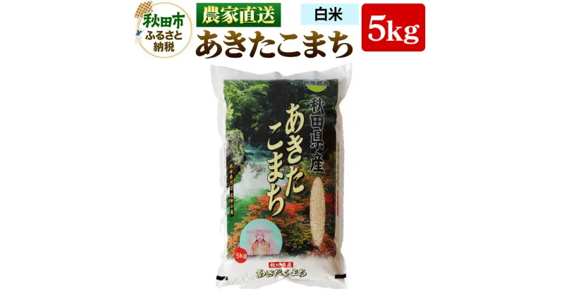 【ふるさと納税】農家直送 あきたこまち 5kg 令和6年産 米 白米 田口商店