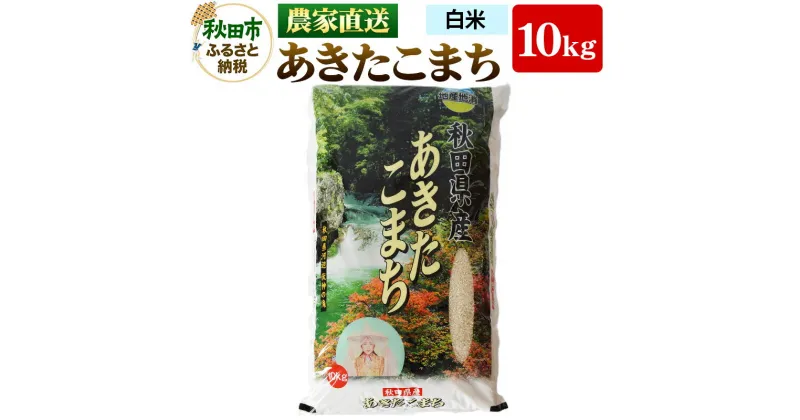 【ふるさと納税】農家直送 あきたこまち 10kg 令和6年産 米 白米 田口商店