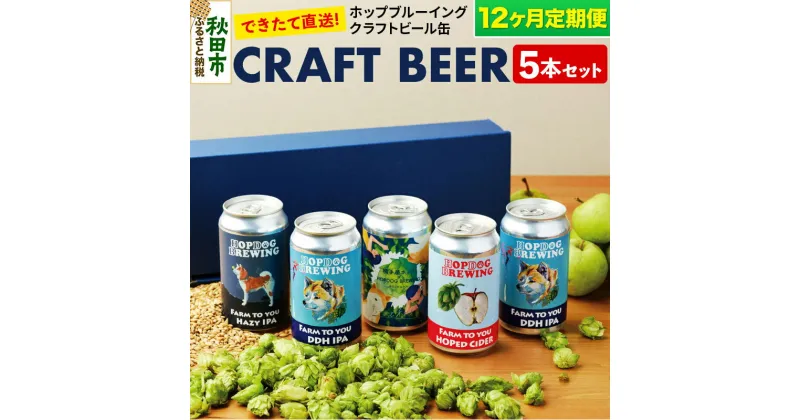 【ふるさと納税】《定期便12ヶ月》クラフトビール缶 毎月5本セット【ホップドッグブルーイング】