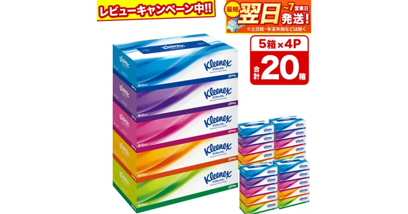 【ふるさと納税】ティッシュ クリネックス 20箱 5箱×4パック 秋田市オリジナル 最短翌日発送 【レビューキャンペーン中】