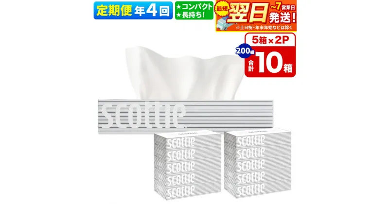 【ふるさと納税】《3ヶ月ごとに4回お届け》定期便 ティッシュペーパー スコッティ 200組 10箱(5箱×2パック) ティッシュ 秋田市オリジナル【レビューキャンペーン中】