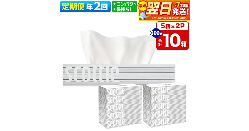 【ふるさと納税】《6ヶ月ごとに2回お届け》定期便 ティッシュペーパー スコッティ 200組 10箱(5箱×2パック) ティッシュ 秋田市オリジナル【レビューキャンペーン中】