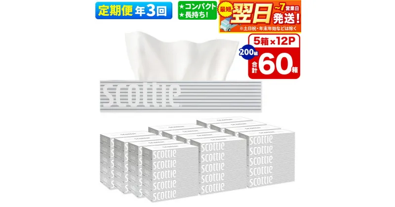 【ふるさと納税】《4ヶ月ごとに3回お届け》定期便 ティッシュペーパー スコッティ 200組 60箱(5箱×12パック) ティッシュ 最短翌日発送【レビューキャンペーン中】