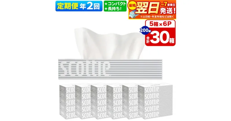 【ふるさと納税】《6ヶ月ごとに2回お届け》定期便 ティッシュペーパー スコッティ 200組 30箱(5箱×6パック) ティッシュ 秋田市オリジナル【レビューキャンペーン中】