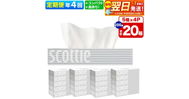 【ふるさと納税】《3ヶ月ごとに4回お届け》定期便 ティッシュペーパー スコッティ 200組 20箱(5箱×4パック) ティッシュ 秋田市オリジナル【レビューキャンペーン中】