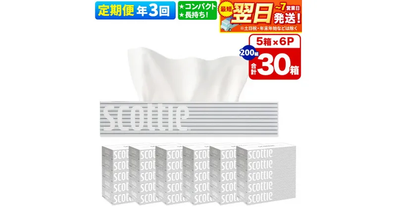 【ふるさと納税】《4ヶ月ごとに3回お届け》定期便 ティッシュペーパー スコッティ 200組 30箱(5箱×6パック) ティッシュ 秋田市オリジナル【レビューキャンペーン中】