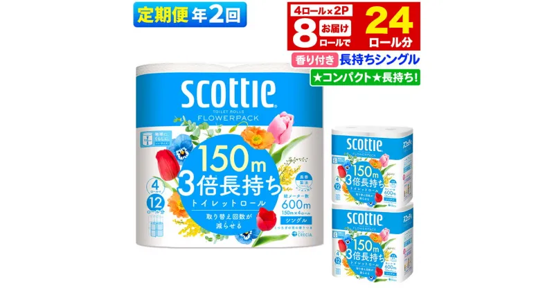 【ふるさと納税】《6ヶ月ごとに2回お届け》定期便 トイレットペーパー スコッティ フラワーパック 3倍長持ち〈香り付〉4ロール(シングル)×2パック 秋田市オリジナル【レビューキャンペーン中】